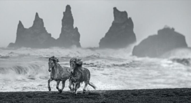 David Yarrow, ‘Wild Horses’, 2018, Photography, Archival Pigment Print, Maddox Gallery