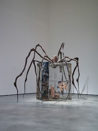 Louise Bourgeois. Structures of Existence: The Cells, installation view