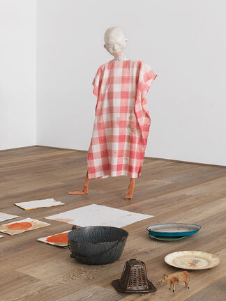 Cathy Wilkes, installation view