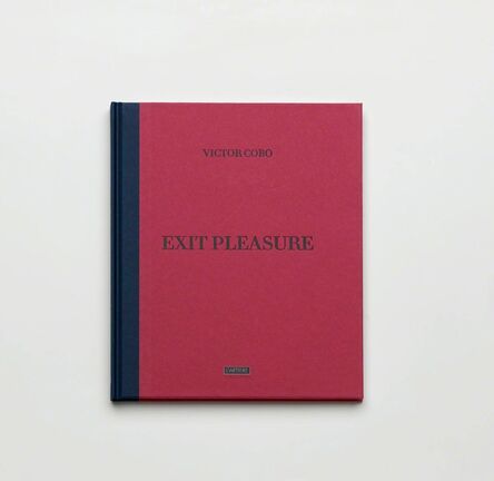 Victor Cobo, ‘Exit Pleasure’, 2016