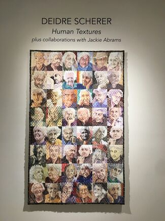 DEIDRE SCHERER Human Textures: plus collaborations with Jackie Abrams, installation view