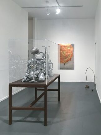 David Baskin, "THE SPECULATIVE GAZE", installation view