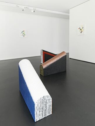 Delphine Coindet: BOOKSHOP, installation view