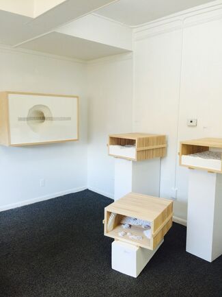 Scott Hazard: Memory Gardens, installation view