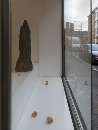 David Adamo, installation view