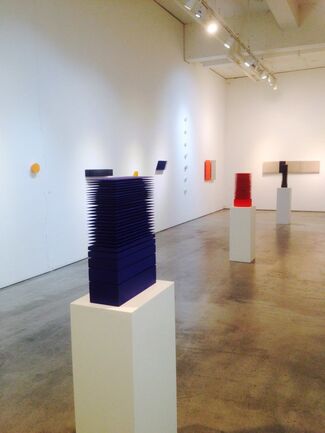 The Vibrant Field, installation view