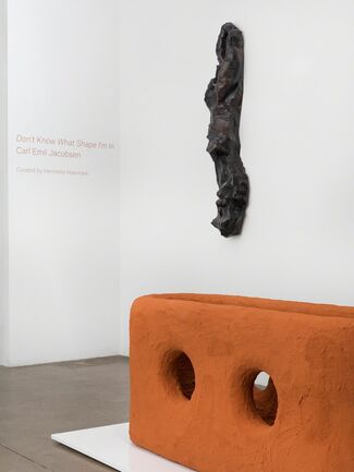 "Don't Know What Shape I'm In" by Carl Emil Jacobsen | Curated by Henriette Noermark, installation view