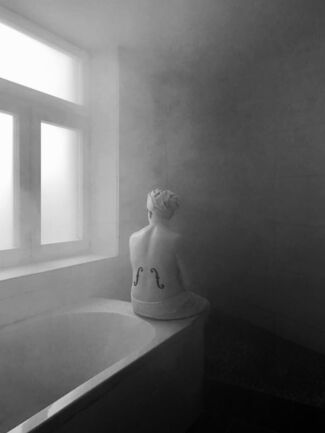 Le Violon d'Ingres mis à nu par ses célibataires même (The Violon d'Ingres, Stripped Bare by her Bachelors, even), installation view