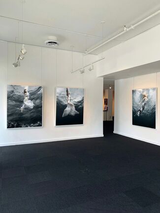 SURFACING by Barbara Cole, installation view