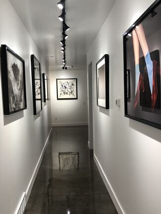 Between the Lines / Contemporary Art Show, installation view
