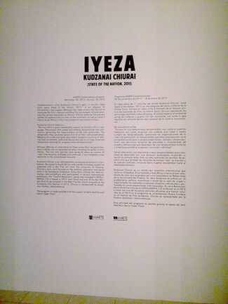 Kudzanai Chiurai "Iyeza, State of The Nation", installation view
