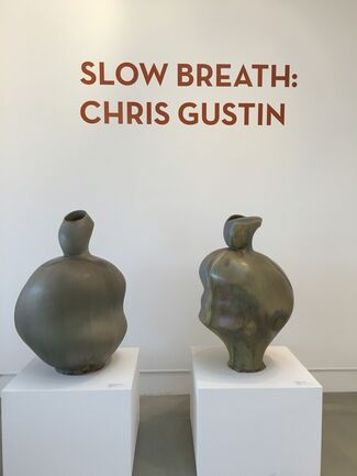 Slow Breath: Recent Works by Chris Gustin, installation view