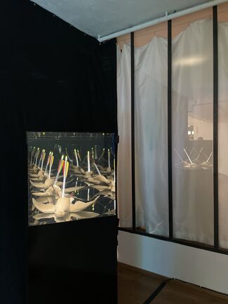Hans Kotter / Peter Demetz, installation view