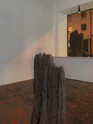 David Adamo, installation view