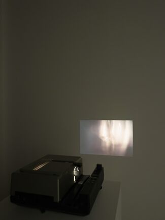 Edith Dekyndt - Chronology of Tears, installation view