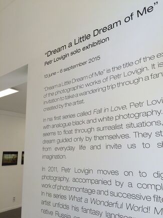 "Dream a Little Dream of me", installation view