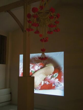 Plastic nature, group show. Curator Sang A Chun, installation view