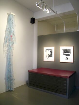 Wintry Mix, installation view