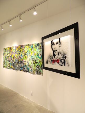 A New Surface, installation view