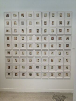 Andy Warhol's Sex Parts & Torsos Polaroid Photos, installation view