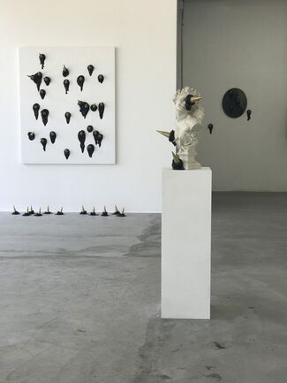 I Still Don't Believe - Abel Bentín, installation view