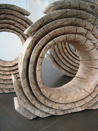 PAULO NEVES - Rings, installation view