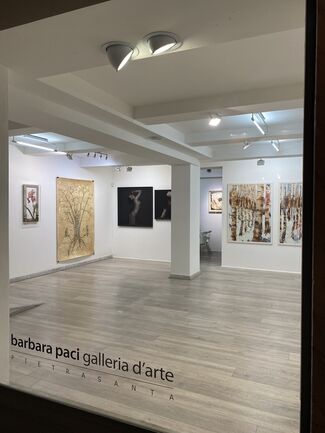 Paper moods, installation view