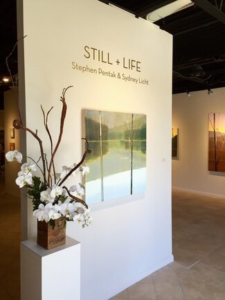 Still + Life: Paintings by Stephen Pentak and Sydney Licht, installation view