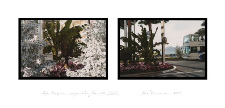 Les Sapins Argentes, Cannes