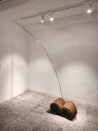 Simone Cametti primitivo, installation view