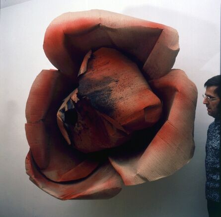 Michelangelo Pistoletto, ‘Burnt Rose (Rose bruciata [Oggetti in meno [1965-66])’, 1965