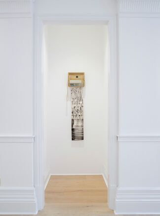 Paulo BRUSCKY The Gallery will be fumigated of art., installation view
