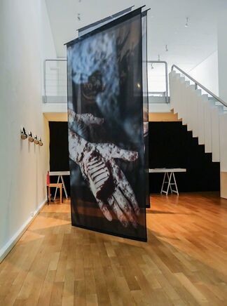 Johanna Reich - SIMULACRUM, installation view