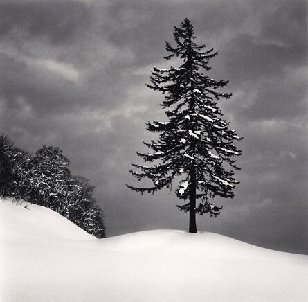 Michael Kenna, ‘Spruce Tree and Snow Clouds, Esashi, Hokkaido, Japan. ’, 2023