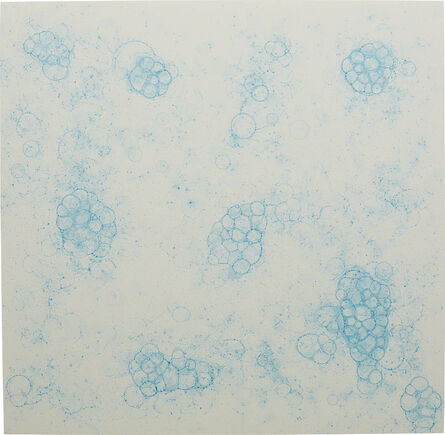 Tara Donovan, ‘Untitled (Bubble Drawing)’, 2004
