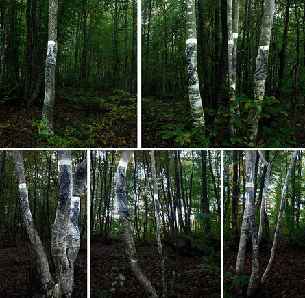 Sibel Horada, ‘Impression From The Beech Forest’, 2015