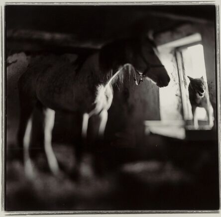 Keith Carter, ‘Horses and Wolf’, 1998