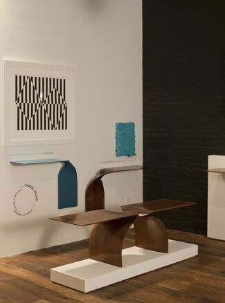Carol Egan: Recent Works, installation view
