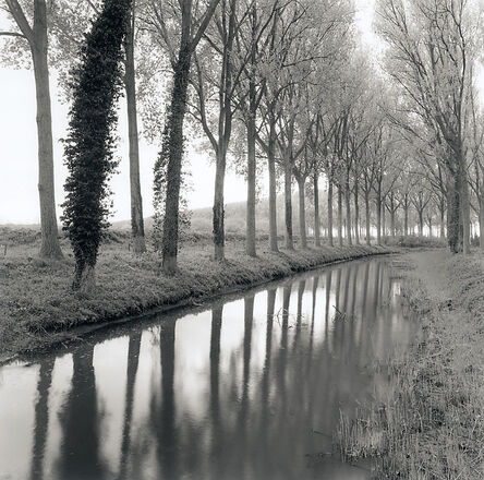 Rolfe Horn, ‘Canal, Damme, Belgium’, 2017