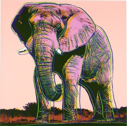 Andy Warhol, ‘African Elephant (F. & S. II.293)’, 1983