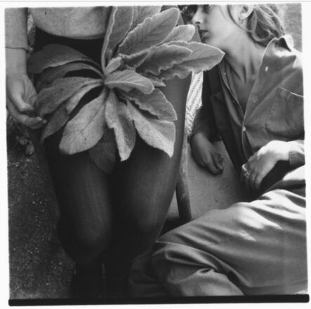 Francesca Woodman, ‘Untitled, Antella, Italy’, ca. 1977-1978