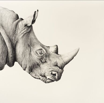 Rose Corcoran, ‘R is for Rhino’, 2021