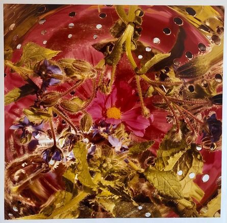 Peter C. Jones, ‘Conundrum, Floral Large Format Photo 24X20 Color Photograph Beach House RI’, 2000-2009