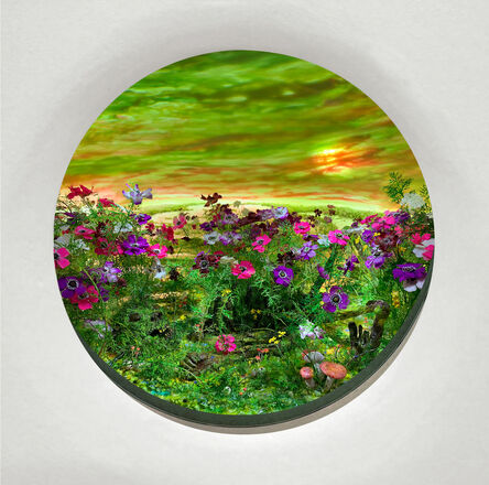 Patrick Jacobs, ‘Moonlit Bog with Anemones (diorama viewed through 7.5 inch window)’, 2020