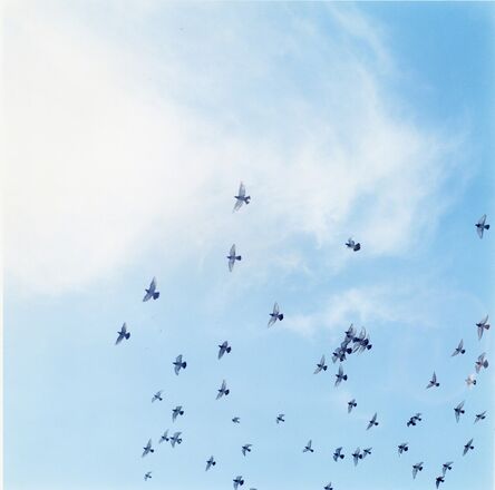 Rinko Kawauchi, ‘Untitled, from the series "the eyes, the ears"’, 2005