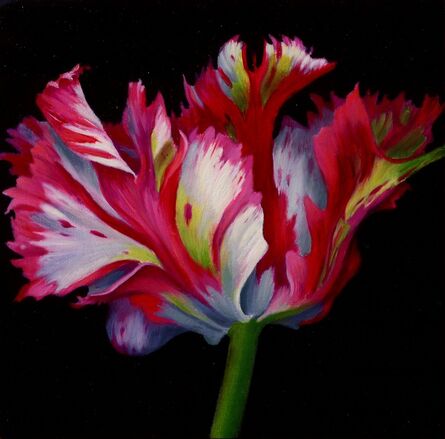 Sarah van der Helm, ‘Pink Parrot Tulip’, 2018