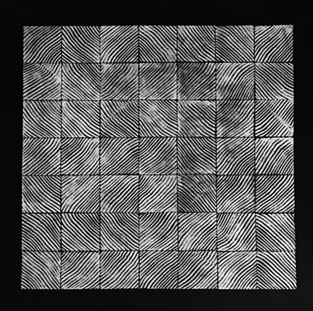 Andre Mirzaian, ‘Douglas Fir Grid Negative (grd)’, 2016