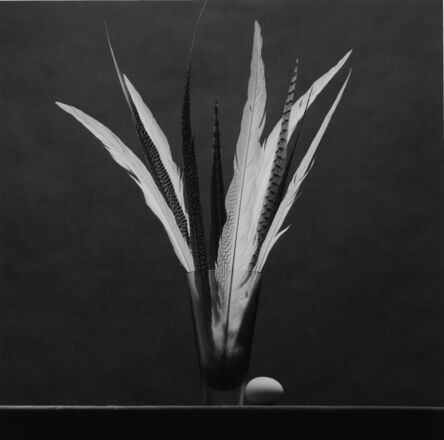 Robert Mapplethorpe, ‘Feathers and Egg’, 1985