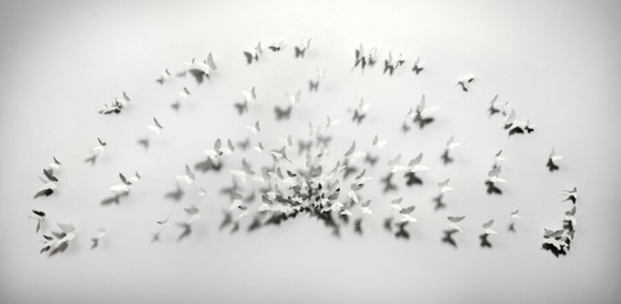 Radius