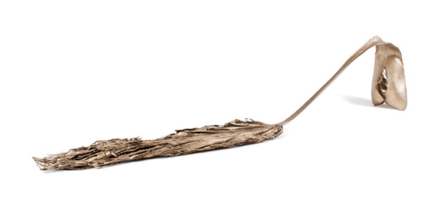Prospecting Palm Fronds (Santa Clara & Electric)